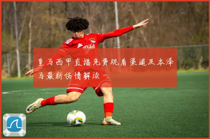 皇马西甲直播免费观看渠道及本泽马最新伤情解读